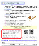 野球体験会のお知らせ
